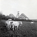 souvenirs en noir et blanc (417)